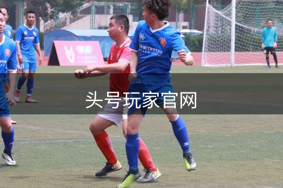 网站介绍